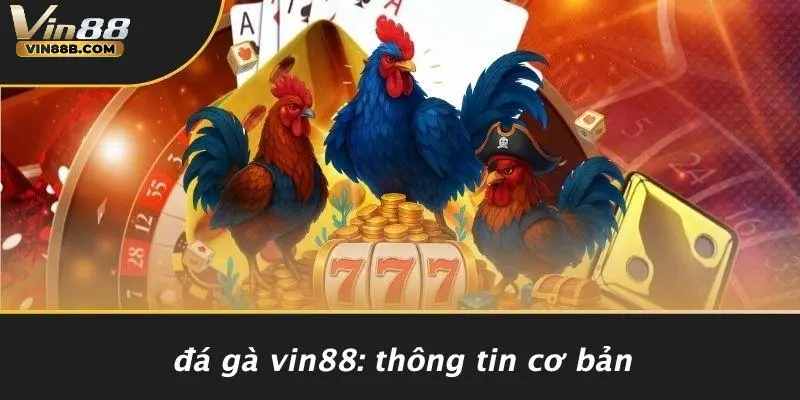 Đá Gà VIN88: Thông Tin Cơ Bản